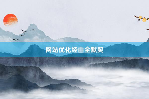 网站优化经由全默契